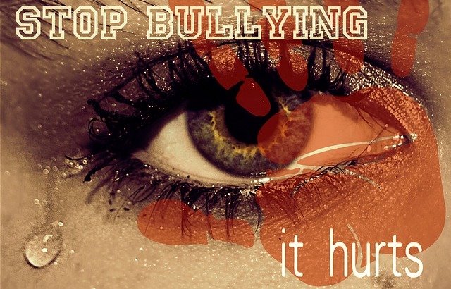 how anti bullying programs can help stop bullying